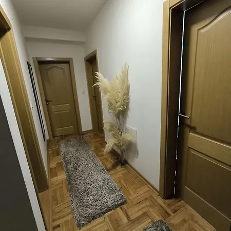 Apartman Zivic Nis Exterior photo