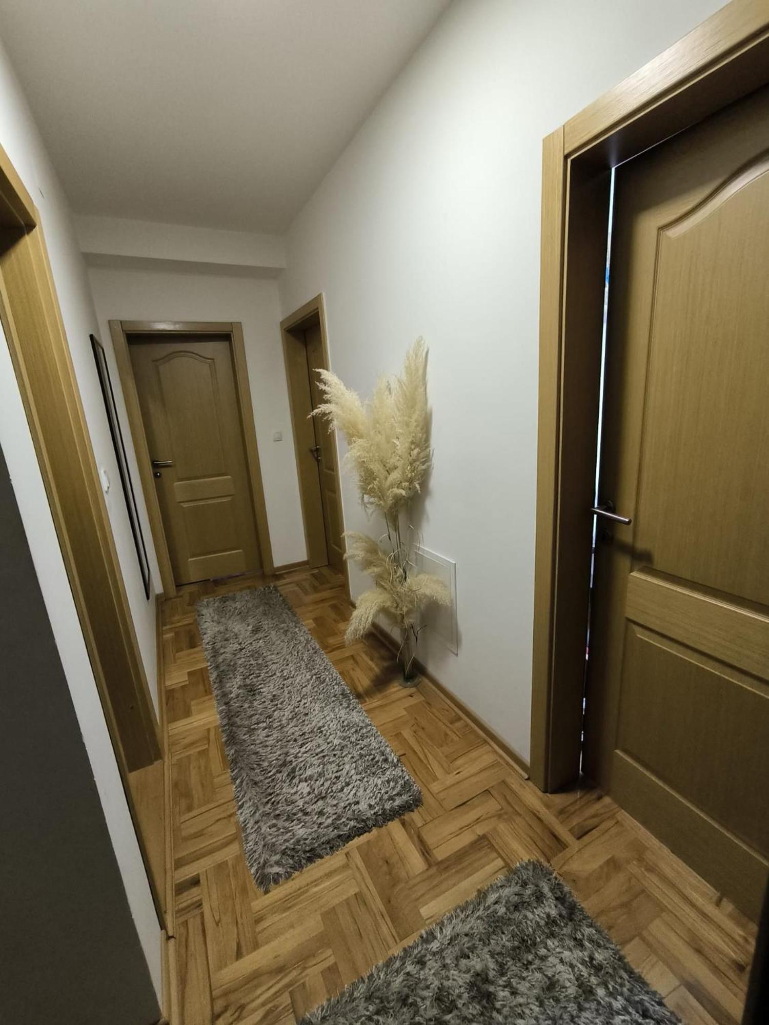 Apartment Zivic Nis